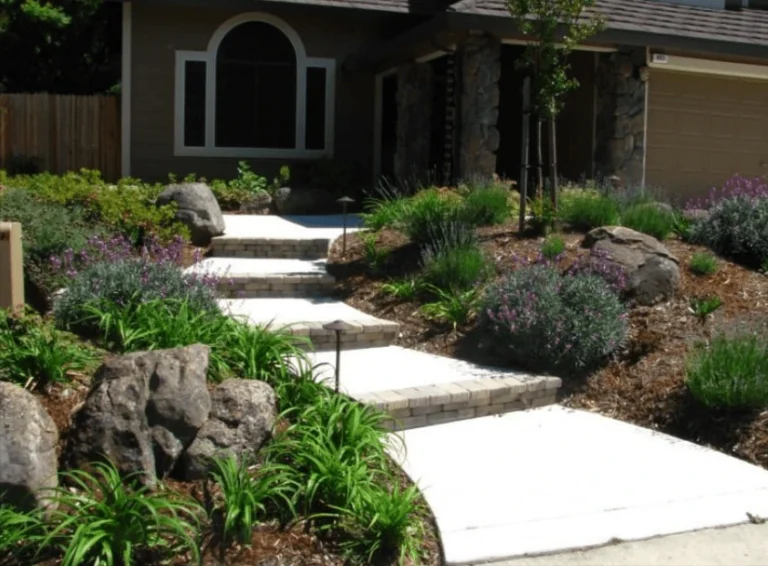 Best Waterless Landscaping in the United States: A Definitive Editorial Guide