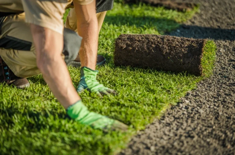 How to Manage Turf Heat: A Technical Guide to Thermal Mitigation
