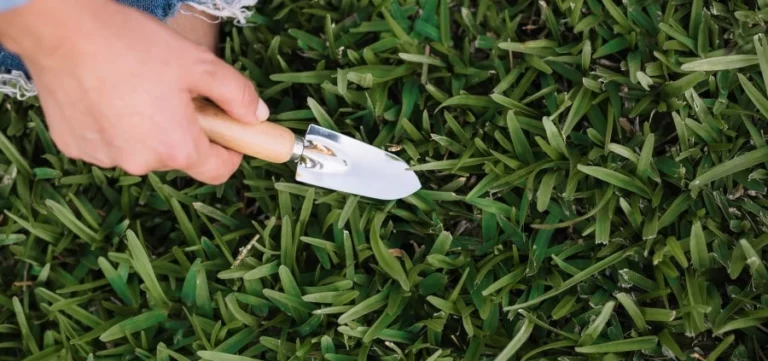 How to Manage Weeds in Artificial Turf: The Definitive Editorial Guide