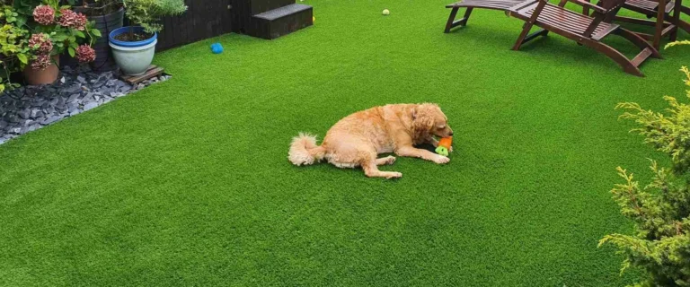 Luxury Pet Turf USA: The Definitive Editorial & Engineering Guide