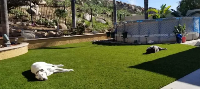 Top Pet Turf Systems: A Technical Guide to Canine Landscapes